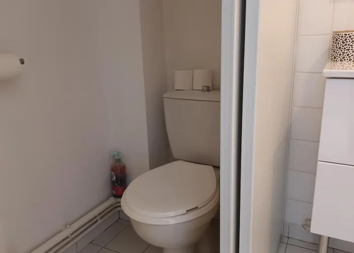 201 Au Coeur Du Campus De Belle Beille אנז'ה