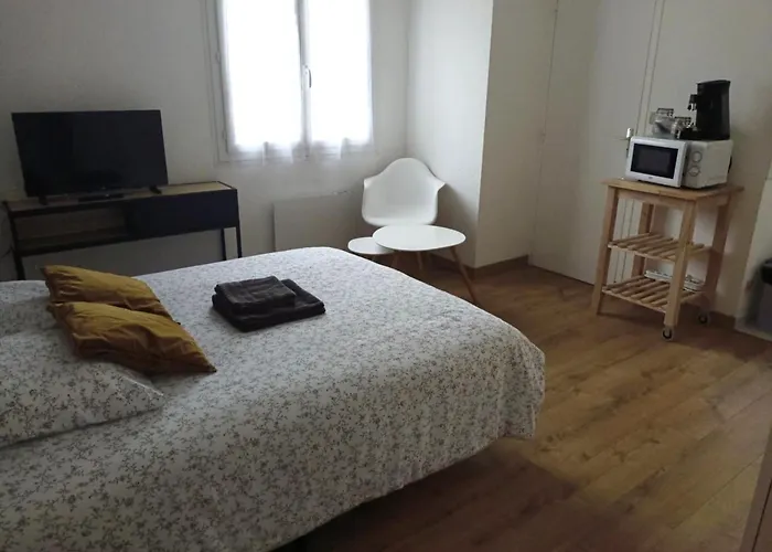 201 Au Coeur Du Campus De Belle Beille 昂热