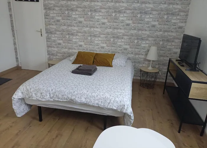 201 Au Coeur Du Campus De Belle Beille Apartman